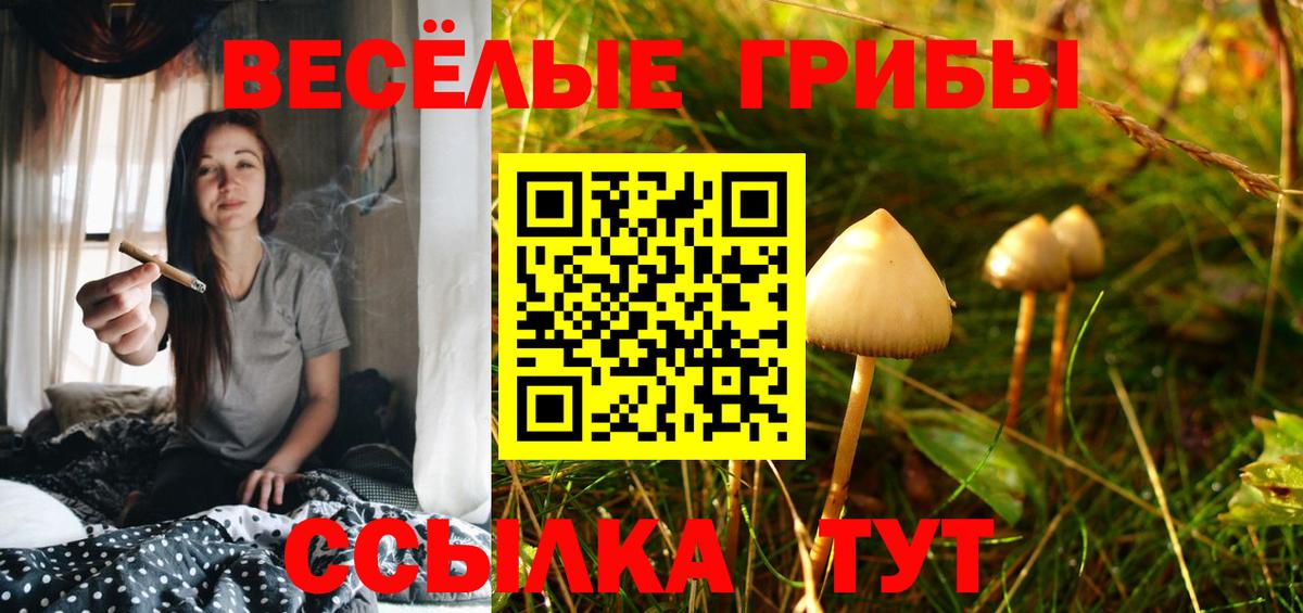 Галлюциногенные грибы GOLDEN TEACHER Елизово