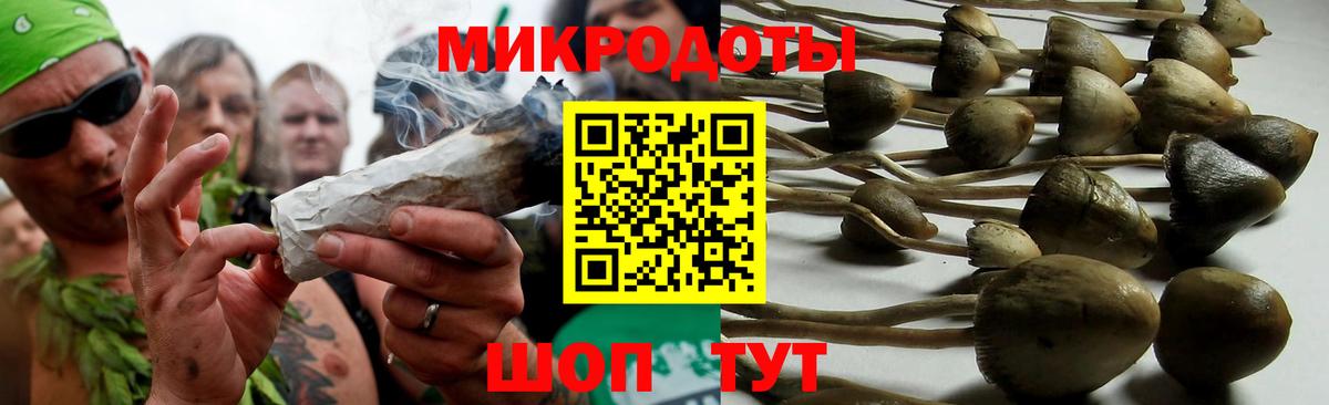 Псилоцибиновые грибы Psilocybine cubensis  Псилоцибиновые грибы прущие грибы  Елизово  Вход с VPN 